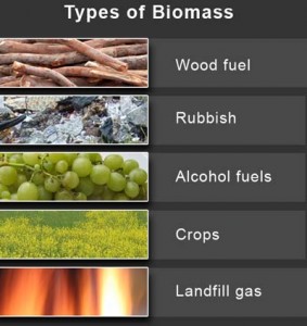 types of biomass