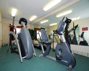 fitness bikes